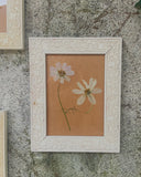 Franse droogbloemen in vintage lijstjes, set van 3