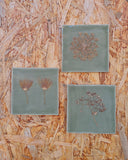 Vintage tegeltjes met Franse droogbloemen, salie