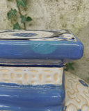 Set van 2 planten olifanten XL