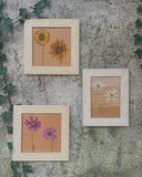 Franse droogbloemen in vintage lijstjes, set van 3