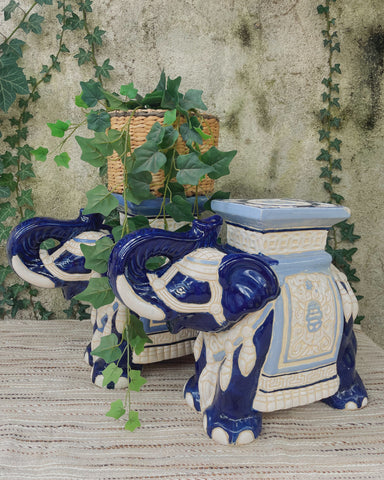 Set van 2 planten olifanten XL