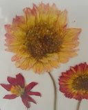 Franse droogbloemen in grote vintage lijst