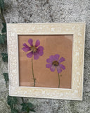 Franse droogbloemen in vintage lijstjes, set van 3