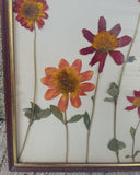 Franse droogbloemen in grote vintage lijst