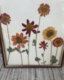 Franse droogbloemen in grote vintage lijst