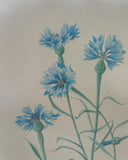 Set van 3 lijsten, botanisch