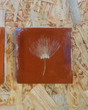 Vintage tegeltjes met Franse droogbloemen, vintage bruin