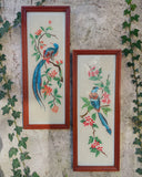 Set van 2 lijsten, vogels