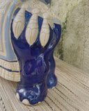 Set van 2 planten olifanten XL