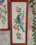 Set van 2 lijsten, vogels