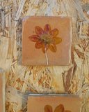 Vintage tegeltjes met Franse droogbloemen, warm beige