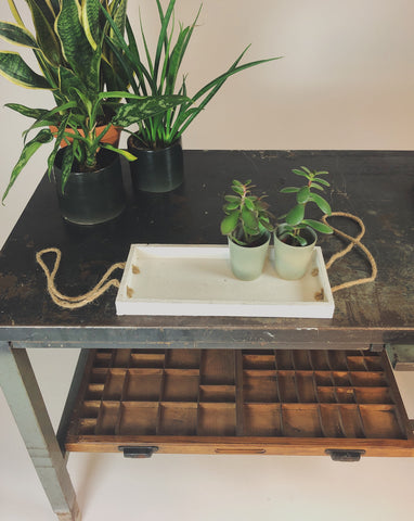 Hanging planten tray