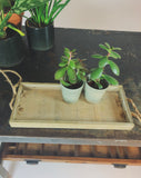 Hanging planten tray